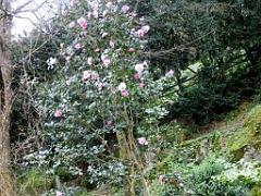 149 PARC ORIENTAL DE MAULEVIER MAINE ET LOIRE 2016 N2_000024